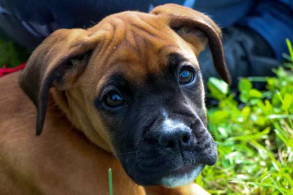 Fotochallange Nr. 57     PORTRÄT.   Beendet!!!!!!!!-Beitrag-Bild