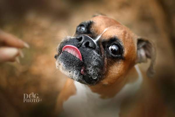 Fotochallange Nr. 57     PORTRÄT.   Beendet!!!!!!!!-Beitrag-Bild