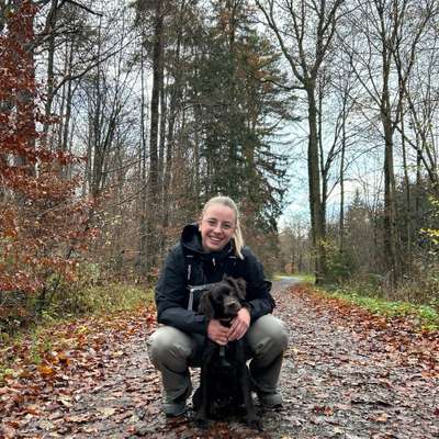 Hundetreffen-Gassirunde-Bild