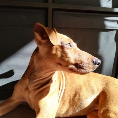 Lieblingsbild-Beitrag-Bild