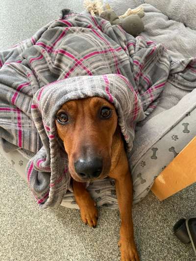 Handy-Foto Challange Nr. 10-Beitrag-Bild