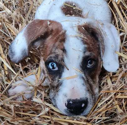 Fotochallange Nr. 57     PORTRÄT.   Beendet!!!!!!!!-Beitrag-Bild