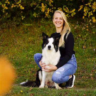 Hundeschulen-Hundetraining Anja Baum-Bild