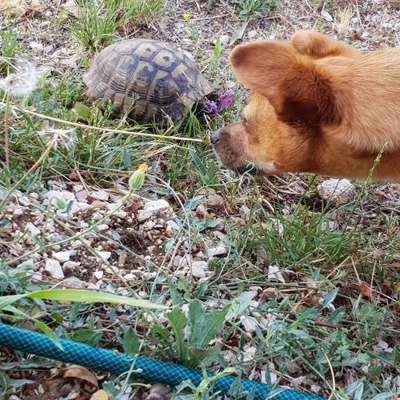 Fotochallenge Nr. 94 It's summer time-Beitrag-Bild