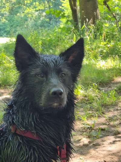 Fotochallenge Nr. 94 It's summer time-Beitrag-Bild