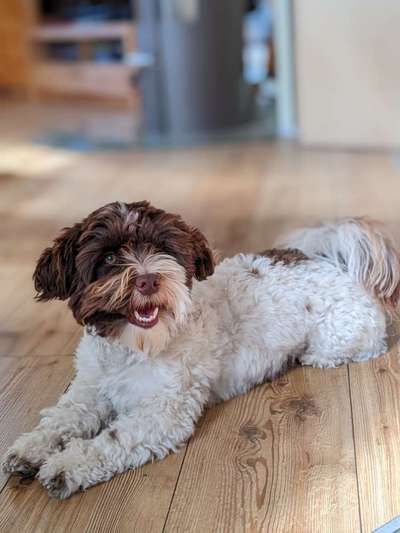 Doppelgänger gesucht !-Beitrag-Bild