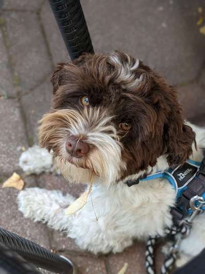 Handy-Foto Challange Nr. 10-Beitrag-Bild