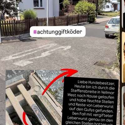 Giftköder-Giftköder auf Gullideckeln-Bild