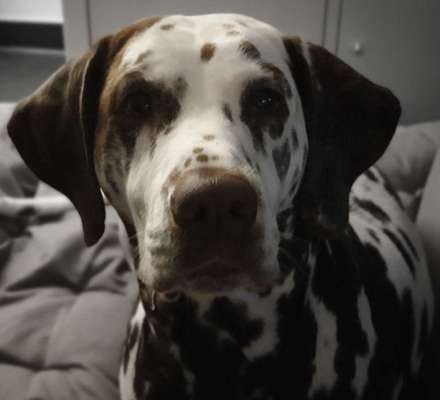 Fotochallange Nr. 57     PORTRÄT.   Beendet!!!!!!!!-Beitrag-Bild