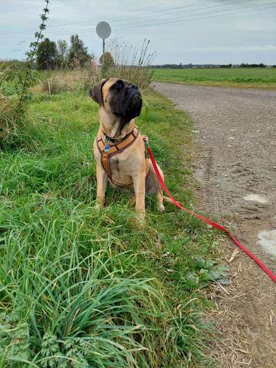 Lieblingsbild-Beitrag-Bild