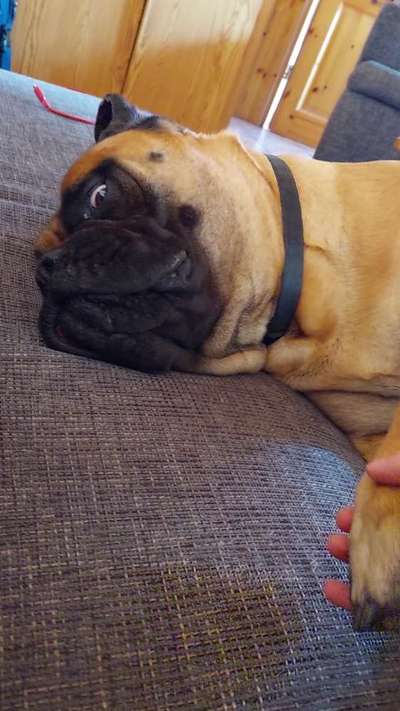 13. Farben-Fotochallenge "Grau"-Beitrag-Bild