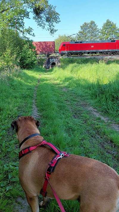 11. Farben Foto Challenge Rot-Beitrag-Bild