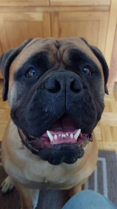 Dogorama Photo Challenge - Details Ganz nah-Beitrag-Bild