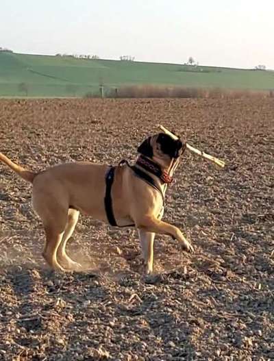 19. Handy - Foto - Challenge-Beitrag-Bild