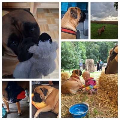 48. Collagen Challenge: Das Leben ist bunt-Beitrag-Bild