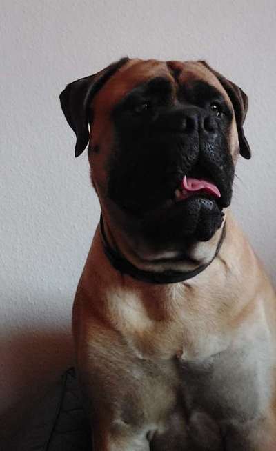 Zeigt eure Portraits-Beitrag-Bild