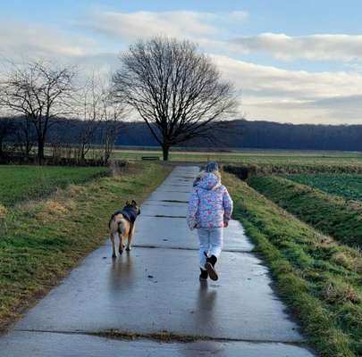 Fotochallenge 66 ~ Rennaction -Zeig deinen Hund im Lauf-Beitrag-Bild