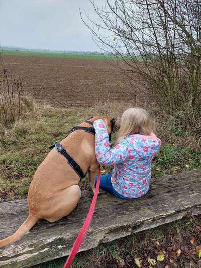 Hundmenschfotos-Beitrag-Bild