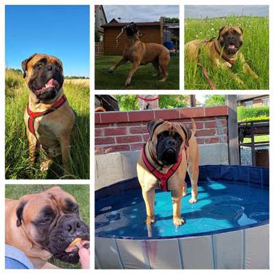 Zeigt eure schönsten Sommerbilder-Beitrag-Bild