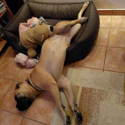 Fotochallenge Nr.65-Beitrag-Bild