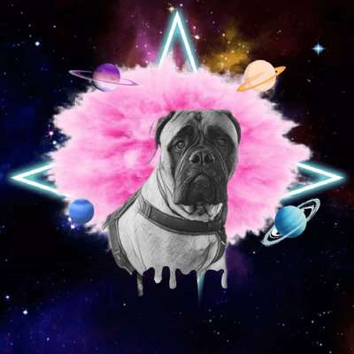 Photoshop und Co.-Beitrag-Bild