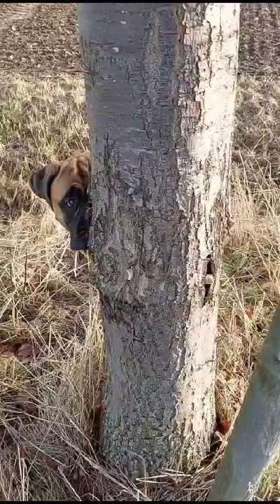 143. Fotochallenge: Ja, wo isser denn?-Beitrag-Bild