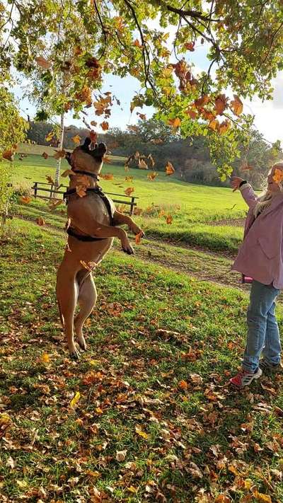 Herbst Bilder-Beitrag-Bild