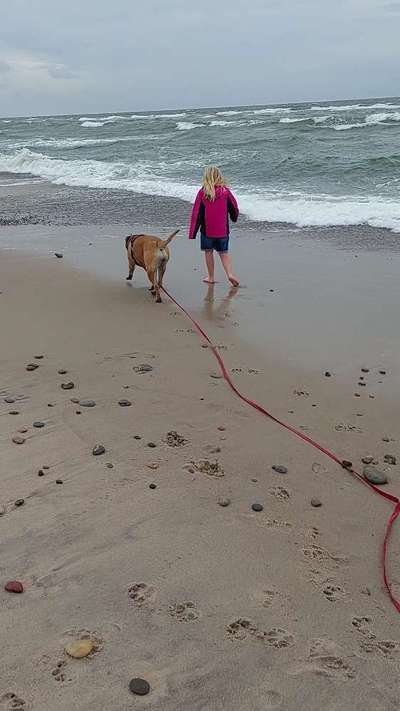 Dogorama Photo Challenge - Tierischer Urlaub-Beitrag-Bild