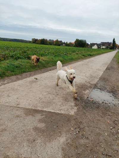 Un...scharf Bilder-Beitrag-Bild