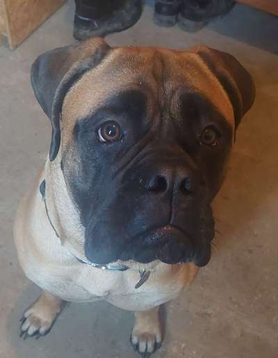 Von oben-Beitrag-Bild