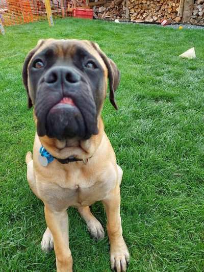 Her mit dem Grimassen-Beitrag-Bild