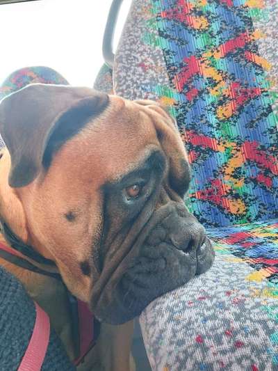 141. FOTO CHALLENGE 
Reisende soll man nicht aufhalten-Beitrag-Bild