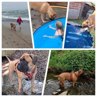 Eure schönsten Fotos mit Wasser-Beitrag-Bild