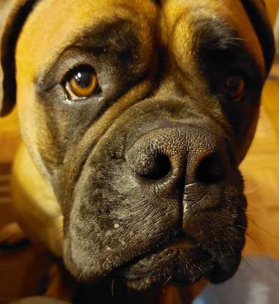 Nahaufnahme-Beitrag-Bild