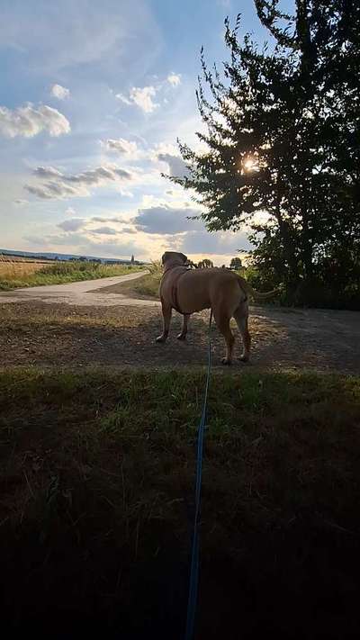 55. Handy Foto Challenge - von hinten, Blick in die Ferne-Beitrag-Bild