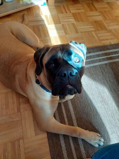 Lieblingsbild :D-Beitrag-Bild