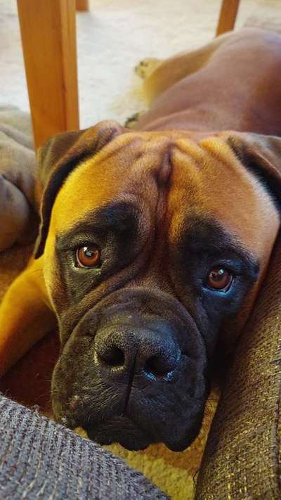 Bettel Blicke-Beitrag-Bild