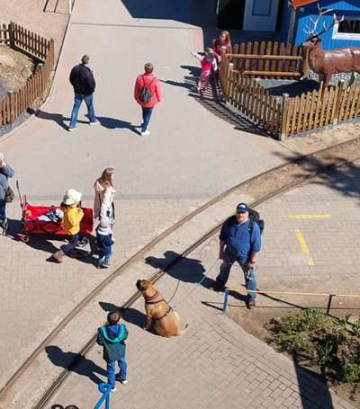 Von oben-Beitrag-Bild