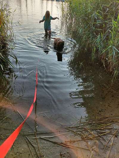 Die wunderschöne Welt mit Hund.-Beitrag-Bild