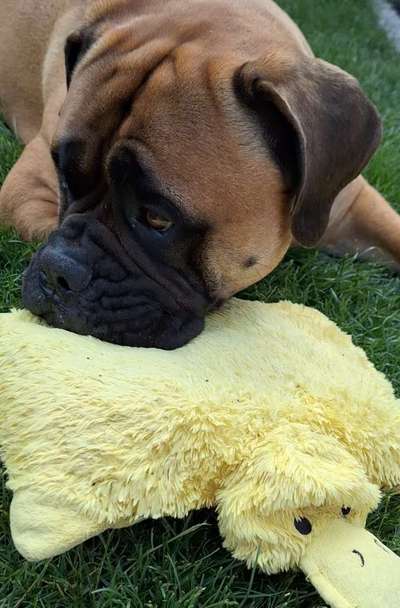 17. Farben Foto Challenge: Pastellfarben-Beitrag-Bild