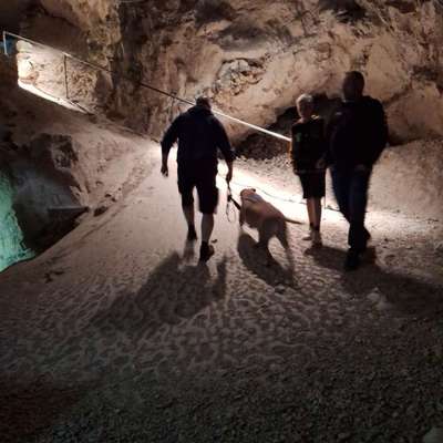 Dänemark Urlaub, gerne mit action-Beitrag-Bild