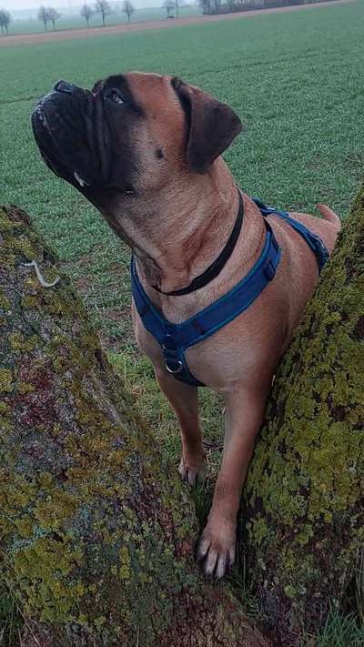 Farben Fotochallenge Thema ,,Grün"-Beitrag-Bild