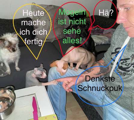 Fotochallenge Nr. 62 Romantische Momente-Beitrag-Bild