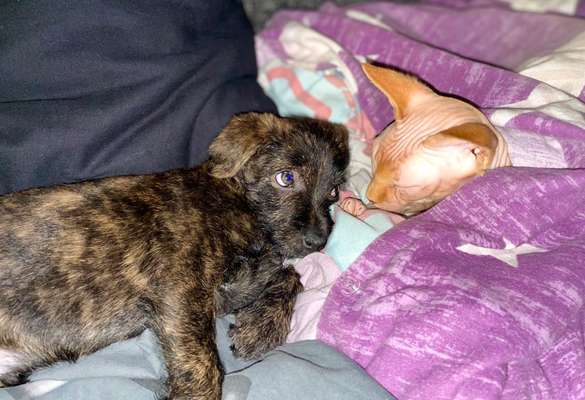 Fotochallenge Nr. 62 Romantische Momente-Beitrag-Bild