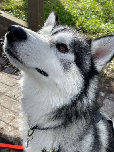 Lieblingsbild :D-Beitrag-Bild