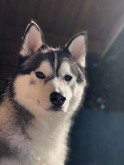 Zeigt eure Portraits-Beitrag-Bild