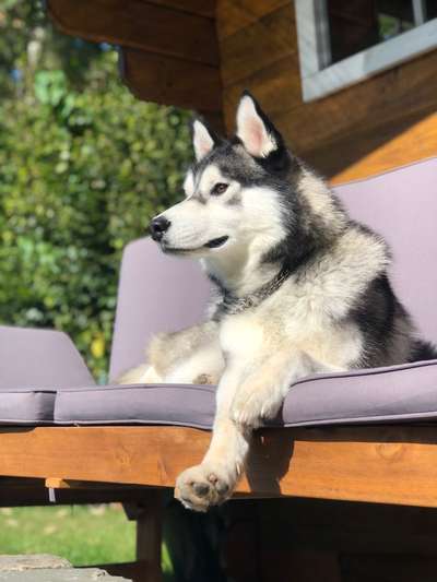 Lieblingsbild-Beitrag-Bild