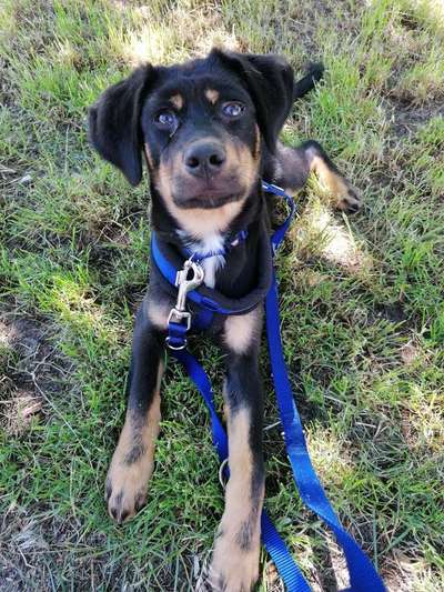 Foto Challenge 3-Beitrag-Bild