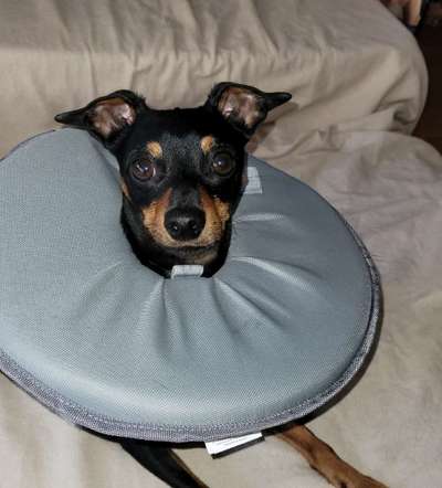 Wunde am Auge-Beitrag-Bild