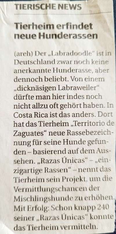 Warum müssen Mischlinge jetzt so klangvolle "Rassebezeichnungen" haben?-Beitrag-Bild